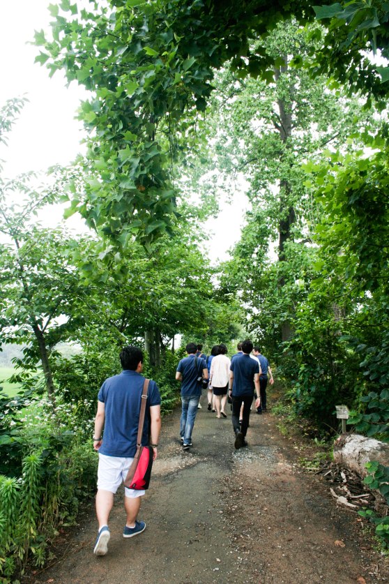 Taking the dirt path to 상록수