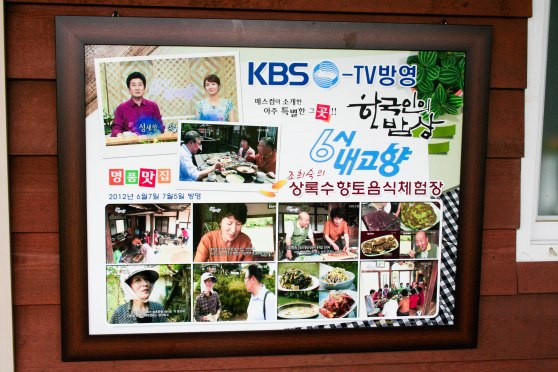 Looks like 상록수 (Sanroksu) had been featured on TV a few times