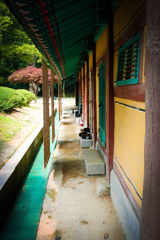 InvestKorea - Trip #3 (41 of 62)