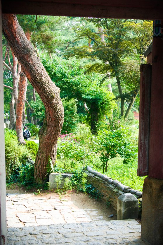 InvestKorea - Trip #3 (42 of 62)