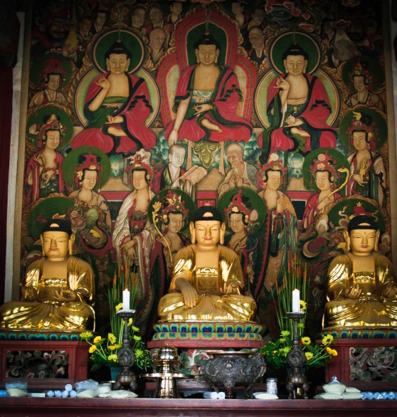 InvestKorea - Trip #3 (45 of 62)