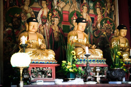 InvestKorea - Trip #3 (47 of 62)