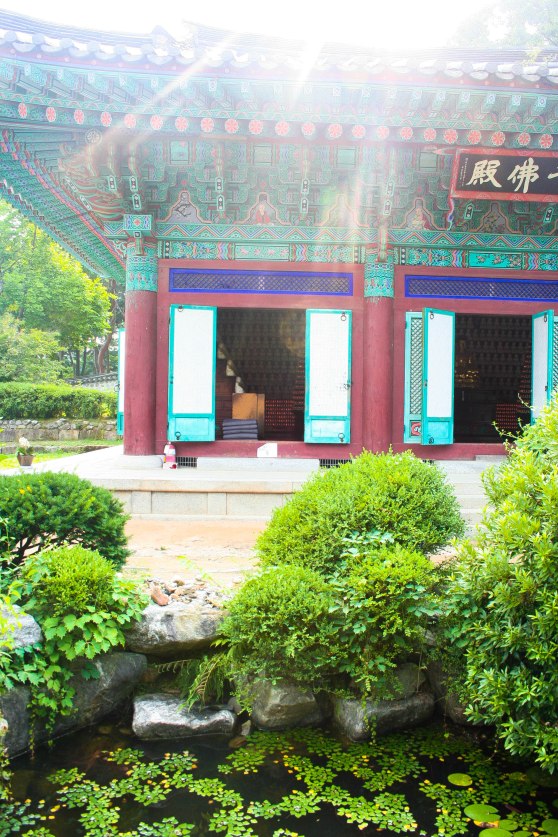 InvestKorea - Trip #3 (50 of 62)