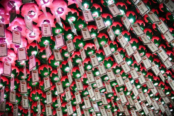 InvestKorea - Trip #3 (53 of 62)