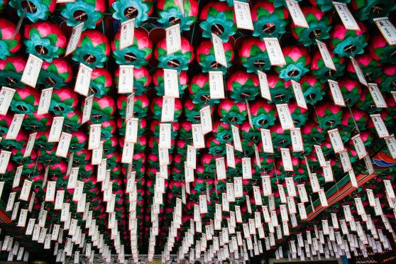 InvestKorea - Trip #3 (60 of 62)