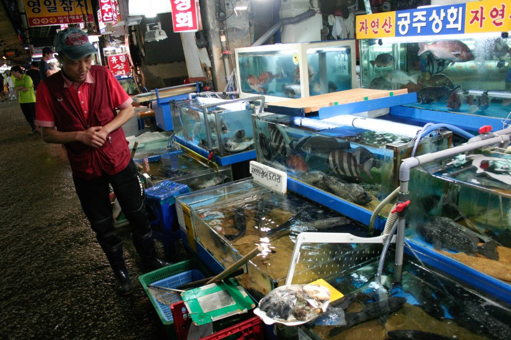 A fishmonger stands with his wares