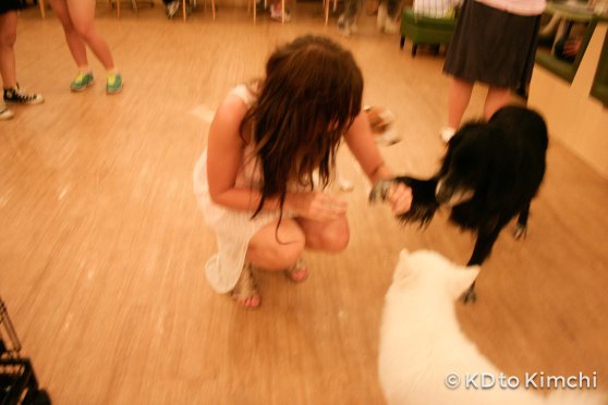 BAU HAUS - Dog Cafe (14 of 37)