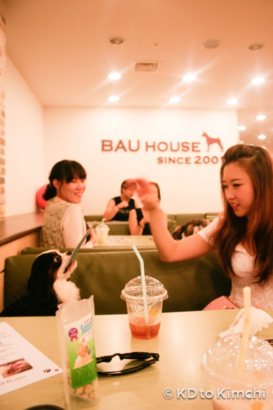 BAU HAUS - Dog Cafe (17 of 37)