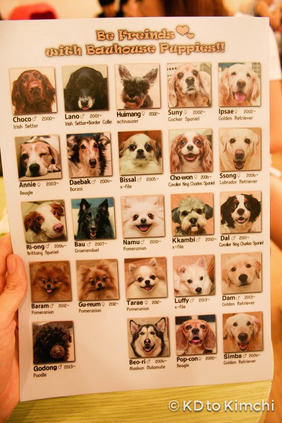 The resident dogs at Bau Haus