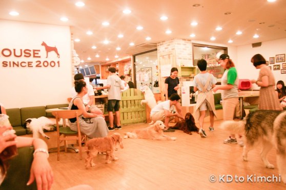 BAU HAUS - Dog Cafe (3 of 37)