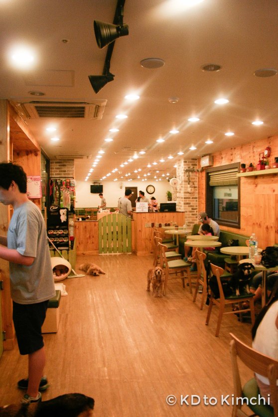 The private area/front end of Bau Haus