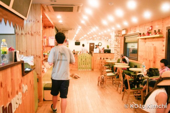 BAU HAUS - Dog Cafe (36 of 37)